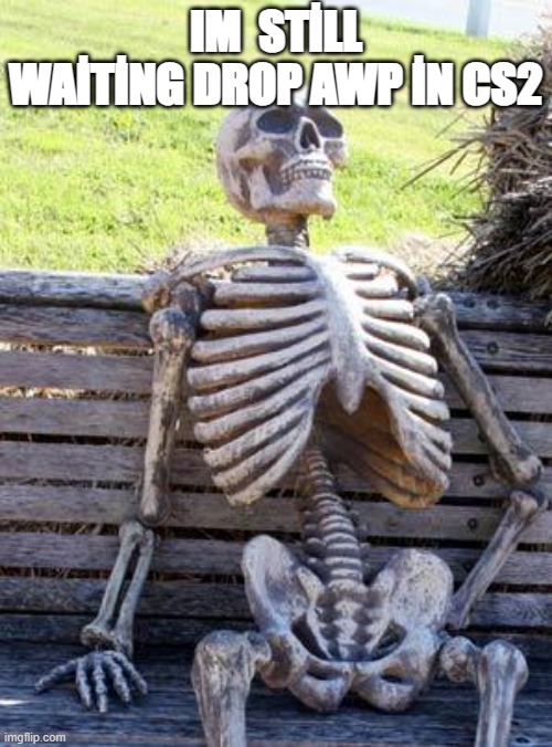 Waiting Skeleton | IM  STİLL WAİTİNG DROP AWP İN CS2 | image tagged in memes,waiting skeleton | made w/ Imgflip meme maker