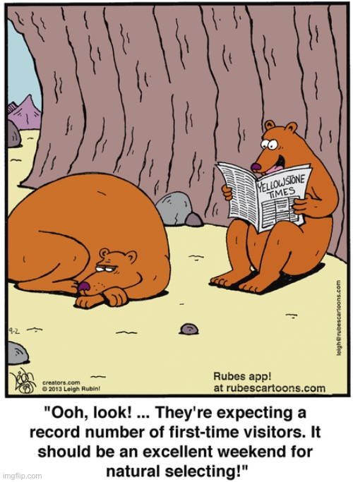 Rubes | image tagged in comics,rubes,bears,natural selection | made w/ Imgflip meme maker