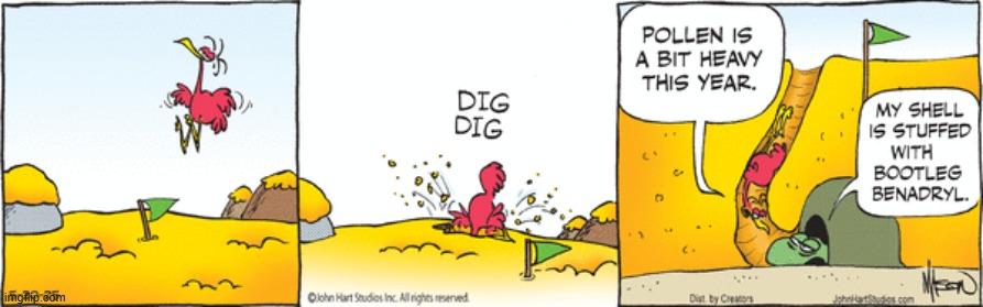 BC | image tagged in comics | made w/ Imgflip meme maker