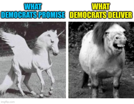 Beautiful Unicorn and Ugly Horse | WHAT DEMOCRATS PROMISE; WHAT DEMOCRATS DELIVER | image tagged in beautiful unicorn and ugly horse | made w/ Imgflip meme maker