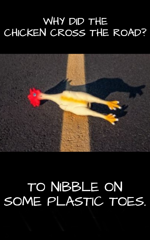 Why did the chicken cross the road | WHY DID THE CHICKEN CROSS THE ROAD? TO NIBBLE ON SOME PLASTIC TOES. | image tagged in why did the chicken cross the road | made w/ Imgflip meme maker