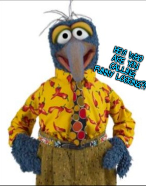 Gonzo | HEY! WHO ARE YOU CALLING FUNNY LOOKING?! | image tagged in gonzo | made w/ Imgflip meme maker