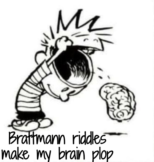 Have you lost your mind | Brattmann riddles make my brain plop | image tagged in have you lost your mind | made w/ Imgflip meme maker