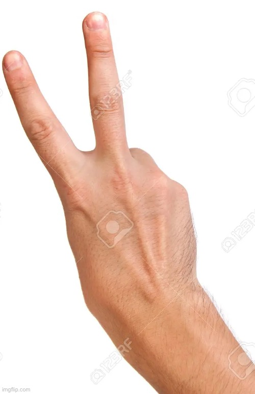 british two finger gesture | image tagged in british two finger gesture | made w/ Imgflip meme maker