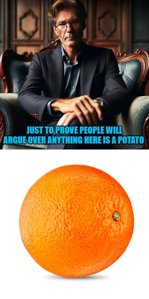 Tater | JUST TO PROVE PEOPLE WILL ARGUE OVER ANYTHING HERE IS A POTATO | image tagged in tater,orange | made w/ Imgflip meme maker