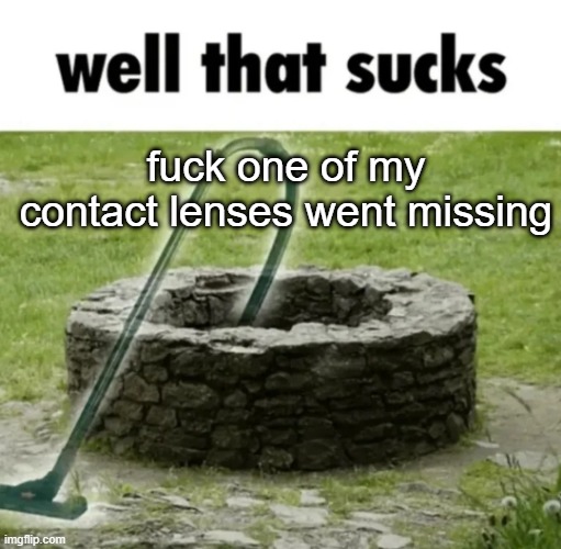 well that sucks | fuck one of my contact lenses went missing | image tagged in well that sucks | made w/ Imgflip meme maker