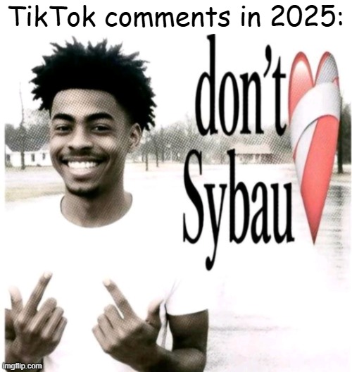 TikTok Comments For Real | TikTok comments in 2025: | image tagged in don't sybau | made w/ Imgflip meme maker