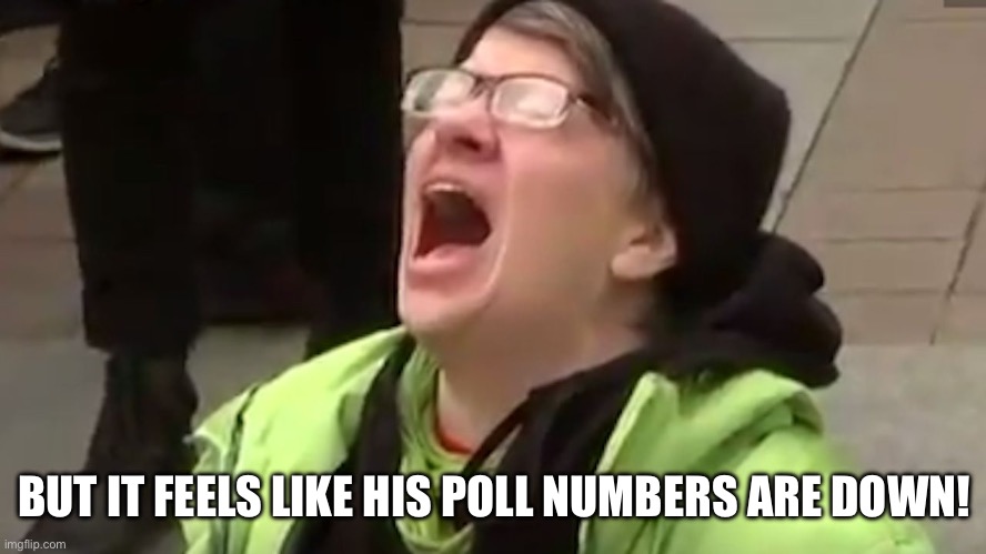 BUT IT FEELS LIKE HIS POLL NUMBERS ARE DOWN! | image tagged in screaming liberal | made w/ Imgflip meme maker