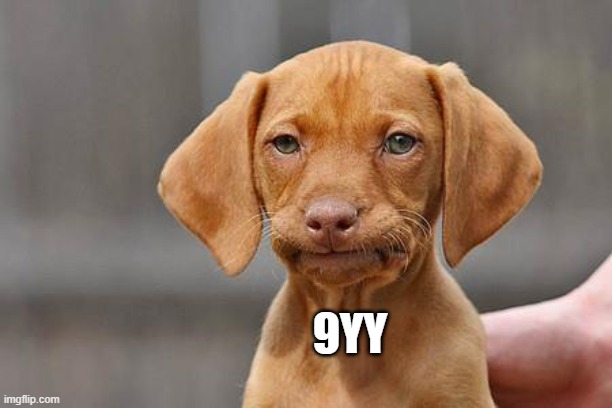 Dissapointed puppy | 9YY | image tagged in dissapointed puppy | made w/ Imgflip meme maker