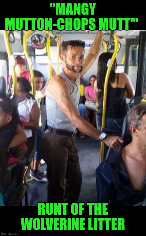 Funny | "MANGY MUTTON-CHOPS MUTT'"; RUNT OF THE WOLVERINE LITTER | image tagged in funny,xmen,wolverine,sad wolverine left out of party,inside you there are two wolves,broke | made w/ Imgflip meme maker
