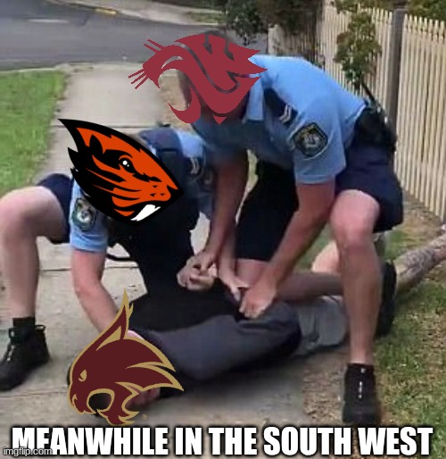 Texas State Bobcats meme | MEANWHILE IN THE SOUTH WEST | image tagged in memes,texas,college football,football,sports,cops | made w/ Imgflip meme maker