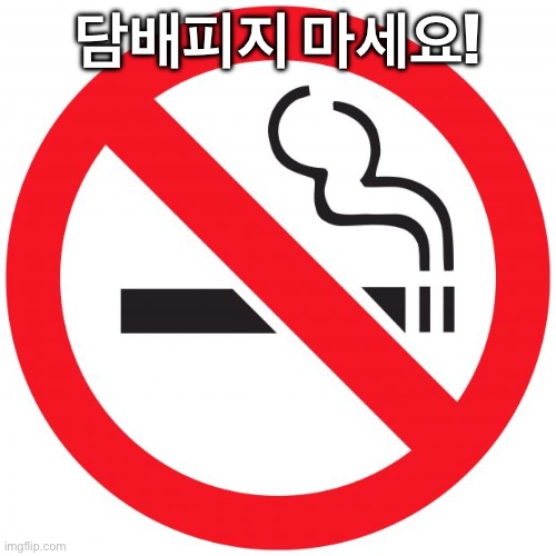North Korea | 담배피지 마세요! | image tagged in no smoking | made w/ Imgflip meme maker