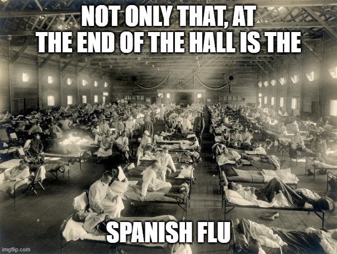 Spanish Flu | NOT ONLY THAT, AT THE END OF THE HALL IS THE SPANISH FLU | image tagged in spanish flu | made w/ Imgflip meme maker