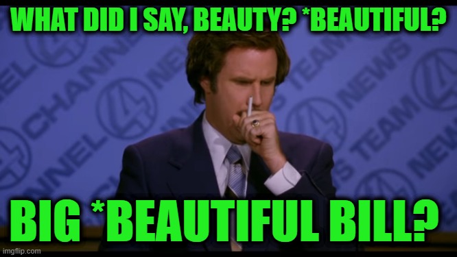 WHAT DID I SAY, BEAUTY? *BEAUTIFUL? BIG *BEAUTIFUL BILL? | made w/ Imgflip meme maker