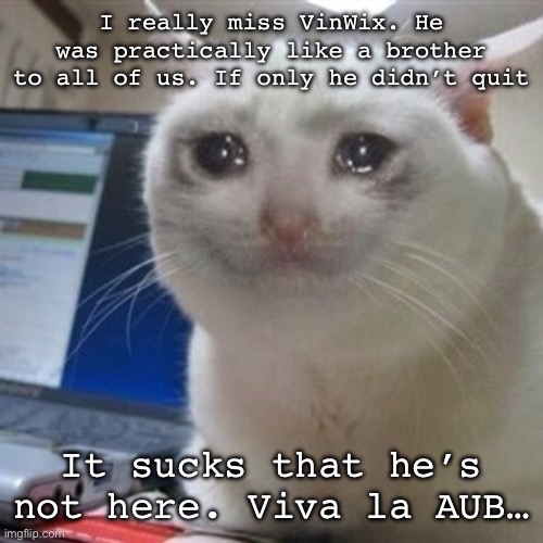 See you later, VinWix… | I really miss VinWix. He was practically like a brother to all of us. If only he didn’t quit; It sucks that he’s not here. Viva la AUB… | image tagged in crying cat,see you later vinwix,viva la aub | made w/ Imgflip meme maker