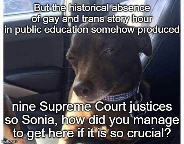 Wait a minute | But the historical absence of gay and trans story hour in public education somehow produced nine Supreme Court justices so Sonia, how did yo | image tagged in wait a minute | made w/ Imgflip meme maker
