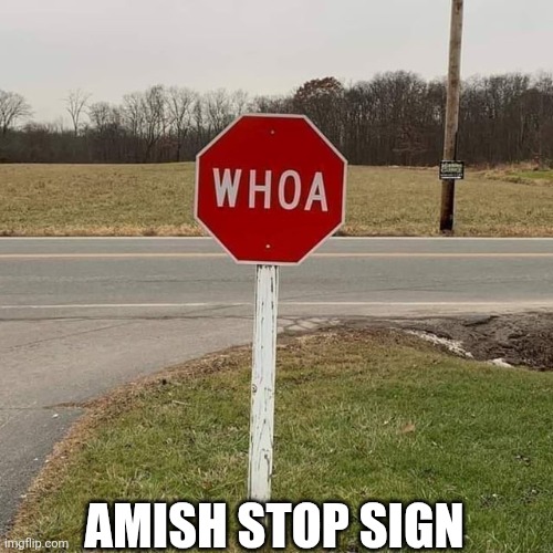 Amish Stop Sign | AMISH STOP SIGN | image tagged in chris joines | made w/ Imgflip meme maker