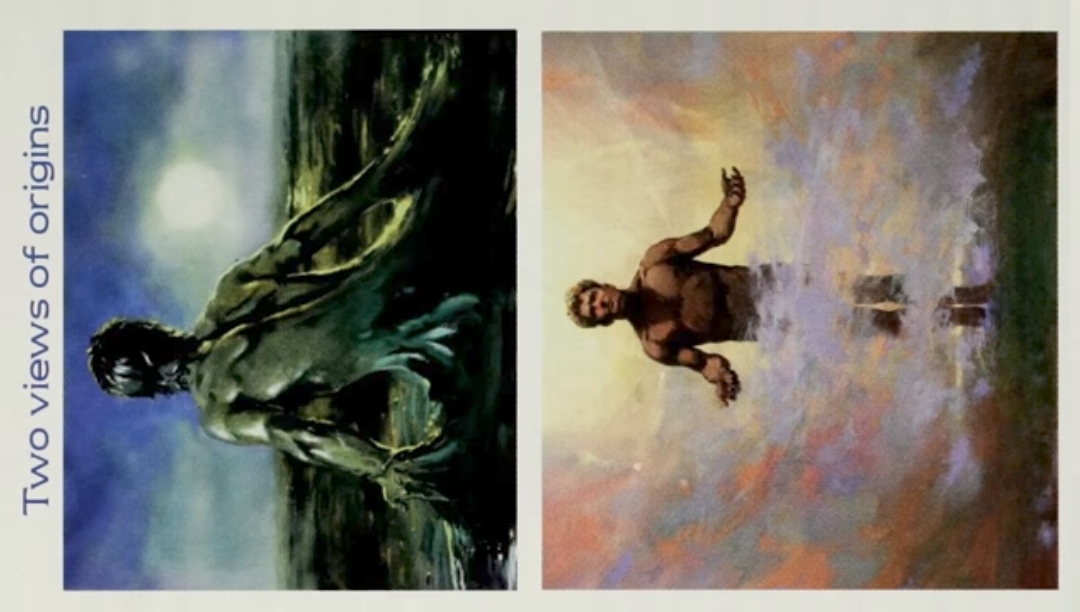 Two views of creation meme format (without image bottom text) Blank Meme Template