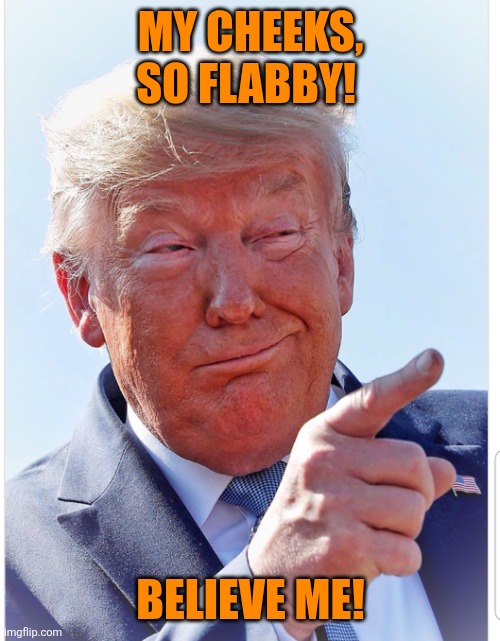 Trump pointing | MY CHEEKS, SO FLABBY! BELIEVE ME! | image tagged in trump pointing | made w/ Imgflip meme maker