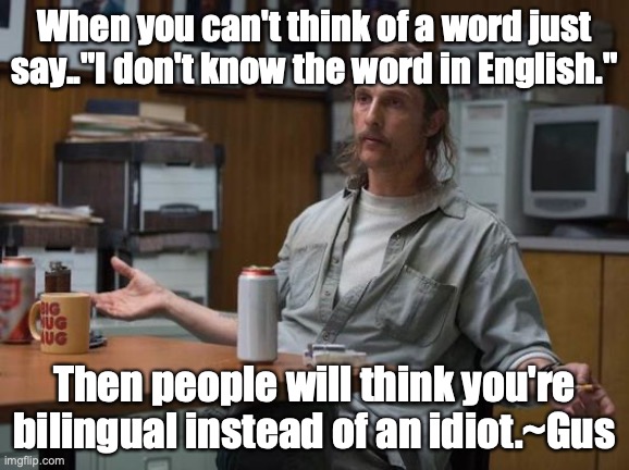 and there you have it | When you can't think of a word just say.."I don't know the word in English."; Then people will think you're bilingual instead of an idiot.~Gus | image tagged in and there you have it | made w/ Imgflip meme maker