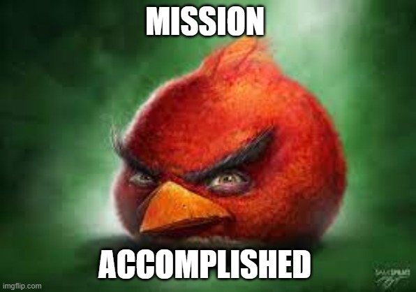 MISSION ACCOMPLISHED | image tagged in realistic red angry birds | made w/ Imgflip meme maker