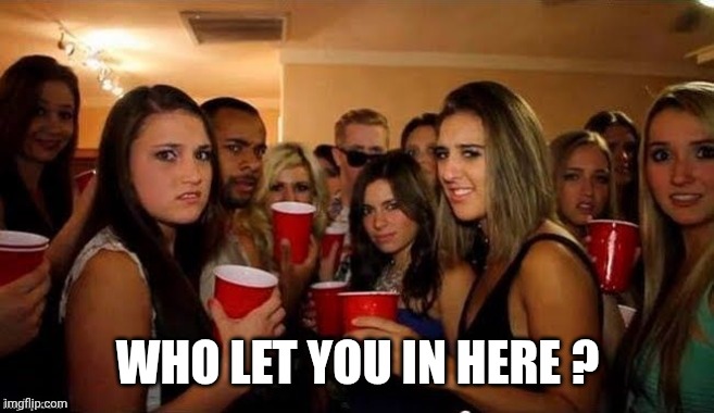 That's disgusting | WHO LET YOU IN HERE ? | image tagged in that's disgusting | made w/ Imgflip meme maker