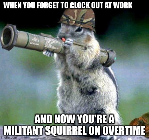 Armed squirrel | WHEN YOU FORGET TO CLOCK OUT AT WORK; AND NOW YOU'RE A MILITANT SQUIRREL ON OVERTIME | image tagged in memes,bazooka squirrel | made w/ Imgflip meme maker