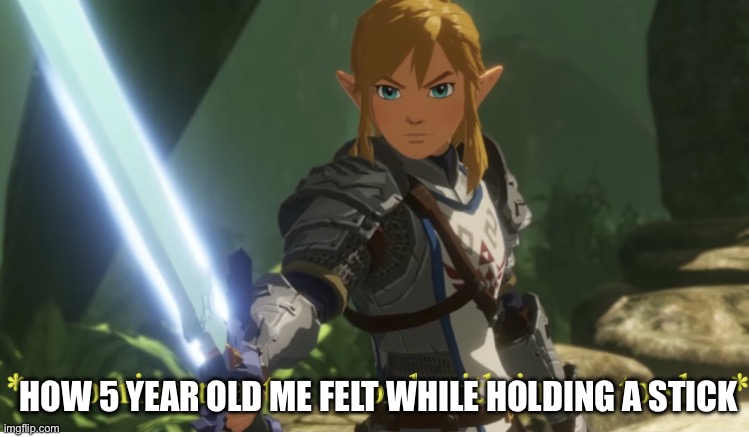 Preparing master sword with intent to slay | HOW 5 YEAR OLD ME FELT WHILE HOLDING A STICK | image tagged in preparing master sword with intent to slay | made w/ Imgflip meme maker