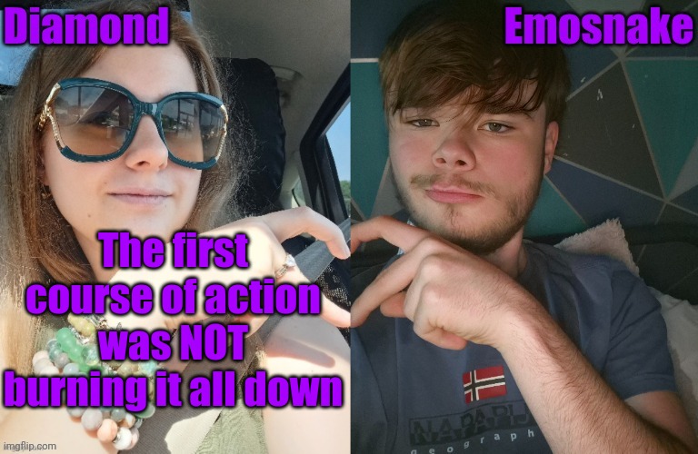 The first course of action was NOT burning it all down | image tagged in diamond and es shared couple temp | made w/ Imgflip meme maker