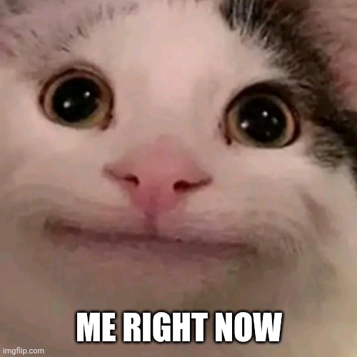 Beluga | ME RIGHT NOW | image tagged in beluga | made w/ Imgflip meme maker