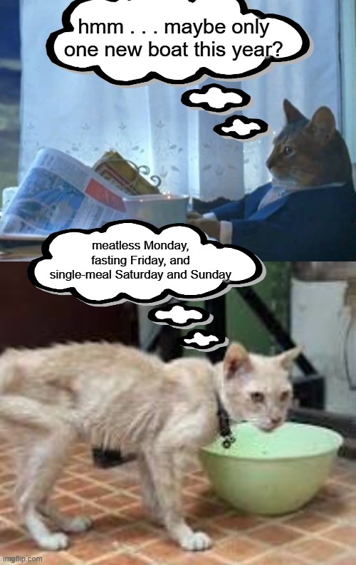 Who should pay more taxes?: the GOP tax bill for cats | hmm . . . maybe only one new boat this year? meatless Monday, fasting Friday, and single-meal Saturday and Sunday | image tagged in i should buy a boat cat,unfair,tax,trump,idiocracy | made w/ Imgflip meme maker