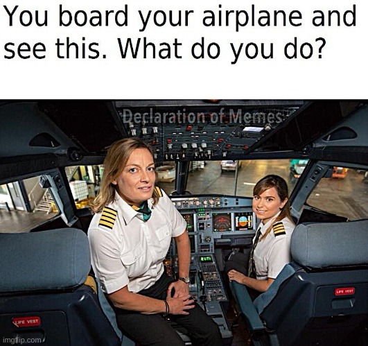 What would you do? | image tagged in airplane | made w/ Imgflip meme maker