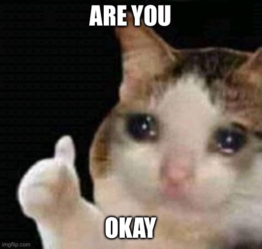 sad thumbs up cat | ARE YOU; OKAY | image tagged in sad thumbs up cat | made w/ Imgflip meme maker