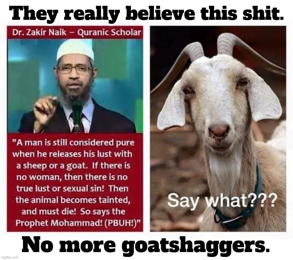 #NoMoreGoatShaggers! | image tagged in goat humpers,screaming goat,bestiality,sodomy,animal sex,radical islam | made w/ Imgflip meme maker