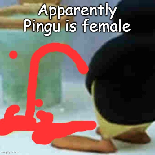 Pingu Pissing | Apparently Pingu is female | image tagged in pingu pissing,i am a genius | made w/ Imgflip meme maker