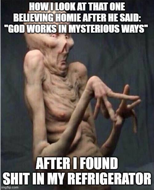 it might have been him guys | HOW I LOOK AT THAT ONE BELIEVING HOMIE AFTER HE SAID: ''GOD WORKS IN MYSTERIOUS WAYS''; AFTER I FOUND SHIT IN MY REFRIGERATOR | image tagged in grossed out alien | made w/ Imgflip meme maker