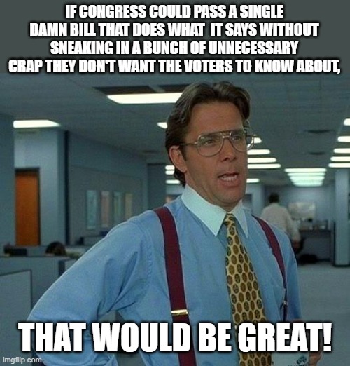 That Would Be Great | IF CONGRESS COULD PASS A SINGLE DAMN BILL THAT DOES WHAT  IT SAYS WITHOUT SNEAKING IN A BUNCH OF UNNECESSARY CRAP THEY DON'T WANT THE VOTERS TO KNOW ABOUT, THAT WOULD BE GREAT! | image tagged in memes,that would be great,congress,bills | made w/ Imgflip meme maker