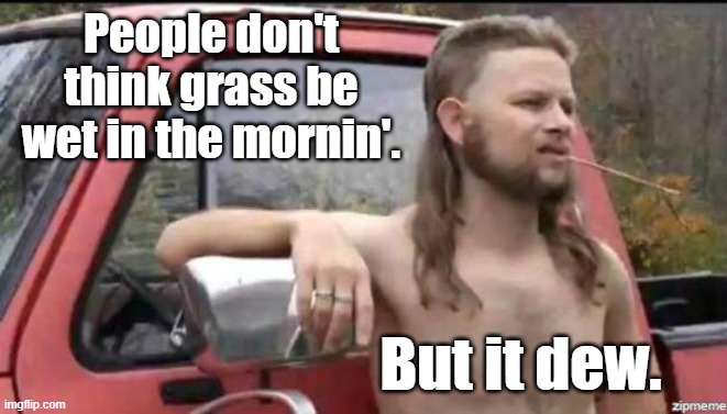 almost politically correct redneck | People don't think grass be wet in the mornin'. But it dew. | image tagged in almost politically correct redneck,mornings,grass,bad puns | made w/ Imgflip meme maker