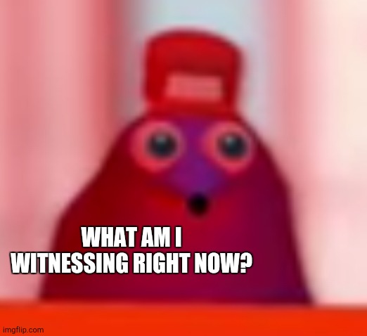 snick what did i just witness | WHAT AM I WITNESSING RIGHT NOW? | image tagged in snick what did i just witness | made w/ Imgflip meme maker