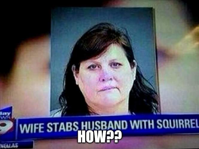 How does one manage | HOW?? | image tagged in what,confused,squirrel | made w/ Imgflip meme maker