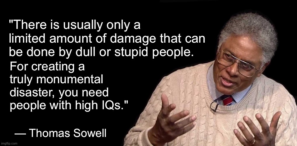 A higher IQ isn’t always correlated with common sense. And NEVER for Liberals. | "There is usually only a limited amount of damage that can be done by dull or stupid people. For creating a truly monumental disaster, you need people with high IQs."; — Thomas Sowell | image tagged in thomas sowell | made w/ Imgflip meme maker
