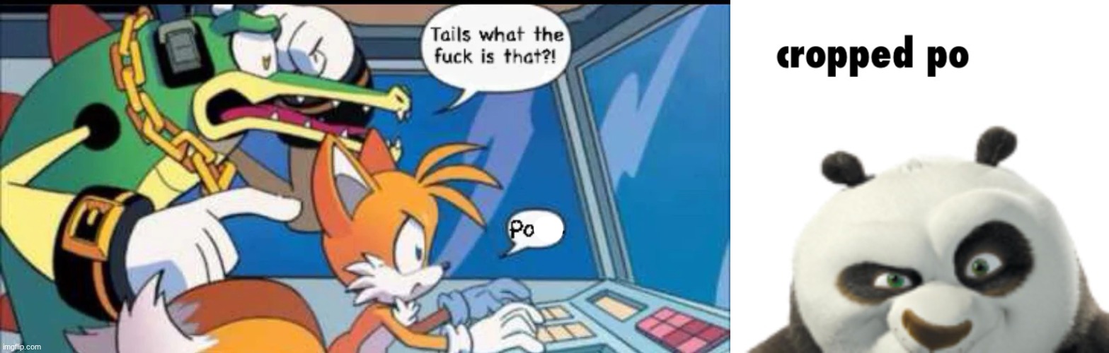 image tagged in tails wtf is that porn,cropped po | made w/ Imgflip meme maker