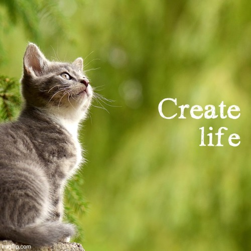 image tagged in create life | made w/ Imgflip meme maker