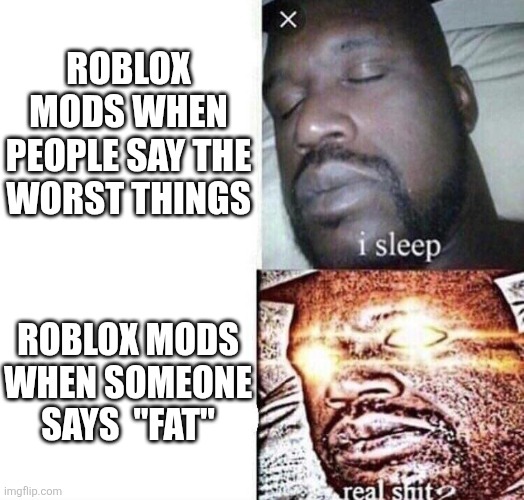 Roblox mods | ROBLOX MODS WHEN PEOPLE SAY THE WORST THINGS; ROBLOX MODS WHEN SOMEONE SAYS  "FAT" | image tagged in i sleep real shit | made w/ Imgflip meme maker