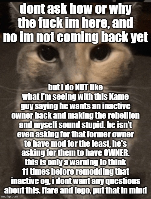 i shouldnt be on imgflip cuz i have other stuff to work on, so next time i'll send Starlight instead with a message | dont ask how or why the fuck im here, and no im not coming back yet; but i do NOT like what i'm seeing with this Kame guy saying he wants an inactive owner back and making the rebellion and myself sound stupid. he isn't even asking for that former owner to have mod for the least, he's asking for them to have OWNER. this is only a warning to think 11 times before remodding that inactive og, i dont want any questions about this. flare and lego, put that in mind | image tagged in cat dead stare,sans of topic | made w/ Imgflip meme maker