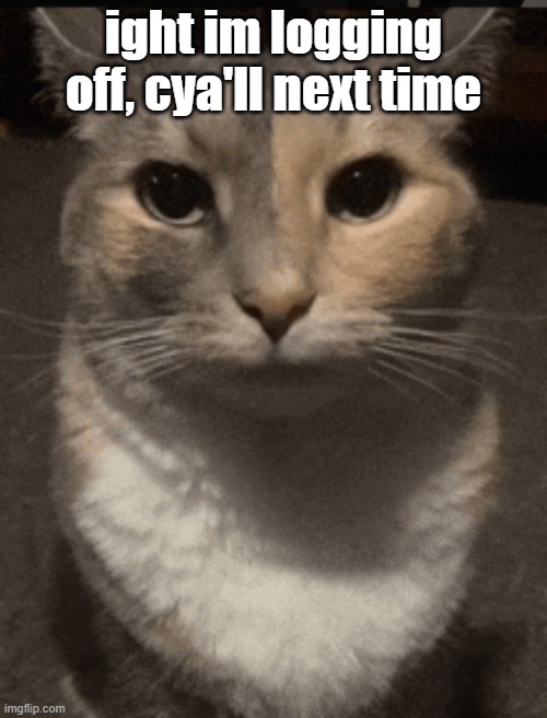 cat dead stare | ight im logging off, cya'll next time | image tagged in cat dead stare,sans of topic | made w/ Imgflip meme maker