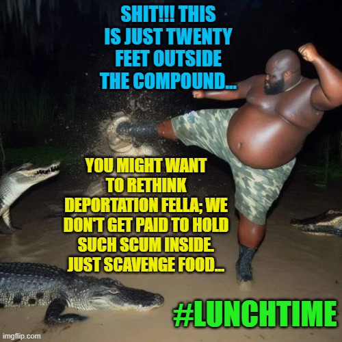 Gator kick | SHIT!!! THIS IS JUST TWENTY FEET OUTSIDE THE COMPOUND... YOU MIGHT WANT TO RETHINK DEPORTATION FELLA; WE DON'T GET PAID TO HOLD SUCH SCUM INSIDE. JUST SCAVENGE FOOD... #LUNCHTIME | image tagged in gator kick | made w/ Imgflip meme maker