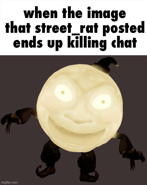 when the image that street_rat posted ends up killing chat | image tagged in honey i killed the chat,sleepy moon sotm | made w/ Imgflip meme maker