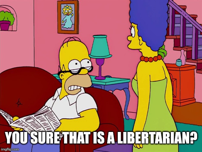 I'm not gonna lie you | YOU SURE THAT IS A LIBERTARIAN? | image tagged in i'm not gonna lie you | made w/ Imgflip meme maker