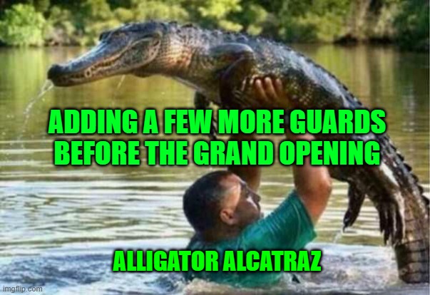 alligator alcatraz | ADDING A FEW MORE GUARDS BEFORE THE GRAND OPENING; ALLIGATOR ALCATRAZ | image tagged in gator | made w/ Imgflip meme maker